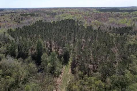 Off Hay Creek Road Prentice WI 54556