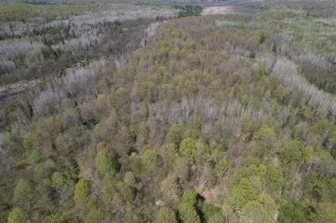 Off Hay Creek Road Prentice WI 54556