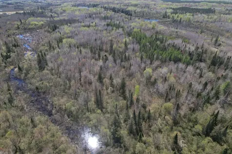 Off Hay Creek Road Prentice WI 54556