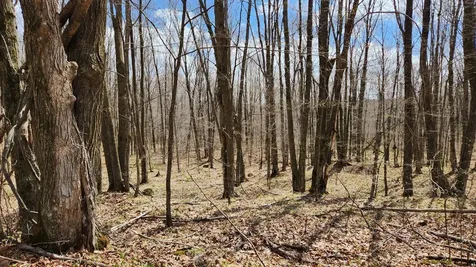 Off Hay Creek Road Prentice WI 54556