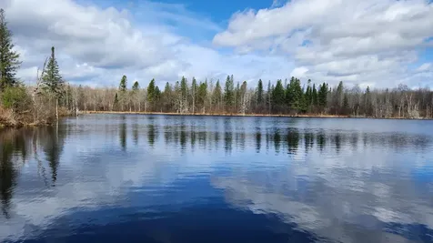 Off Hay Creek Road Prentice WI 54556