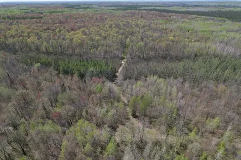 Off Hay Creek Road Prentice WI 54556