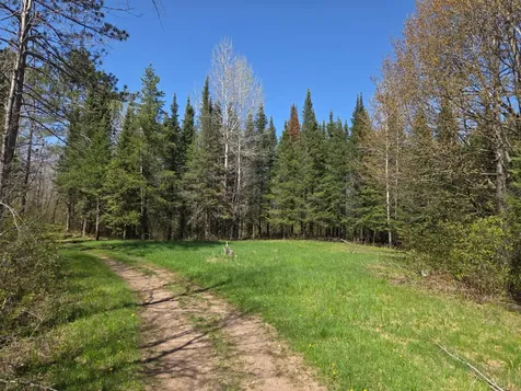 Off Hay Creek Road Prentice WI 54556