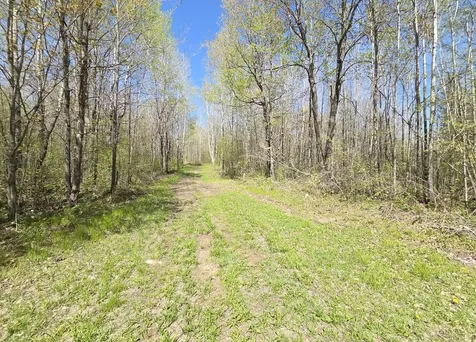 Off Hay Creek Road Prentice WI 54556