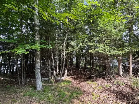 1992W Diamond Road Mercer WI 54547