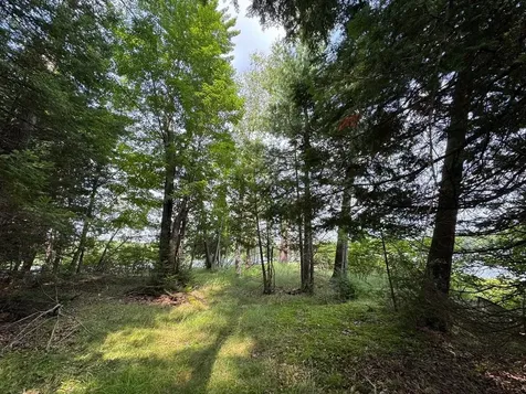 1992W Diamond Road Mercer WI 54547