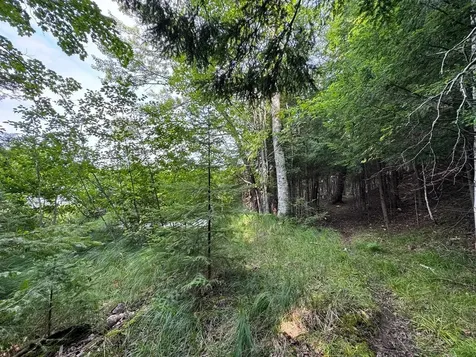 1992W Diamond Road Mercer WI 54547