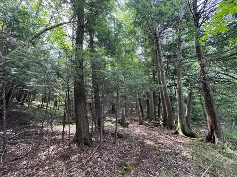 1992W Diamond Road Mercer WI 54547