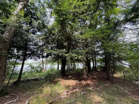1992W Diamond Road Mercer WI 54547