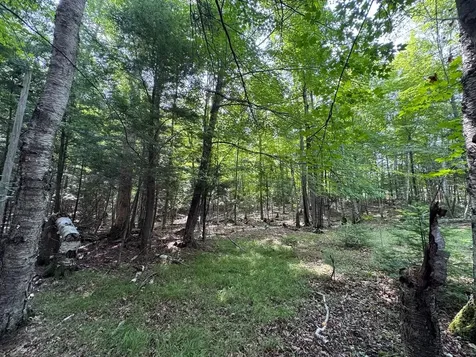 1992W Diamond Road Mercer WI 54547