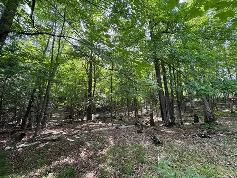 1992W Diamond Road Mercer WI 54547