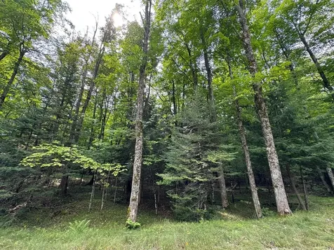 1992W Diamond Road Mercer WI 54547