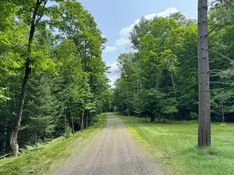 1992W Diamond Road Mercer WI 54547
