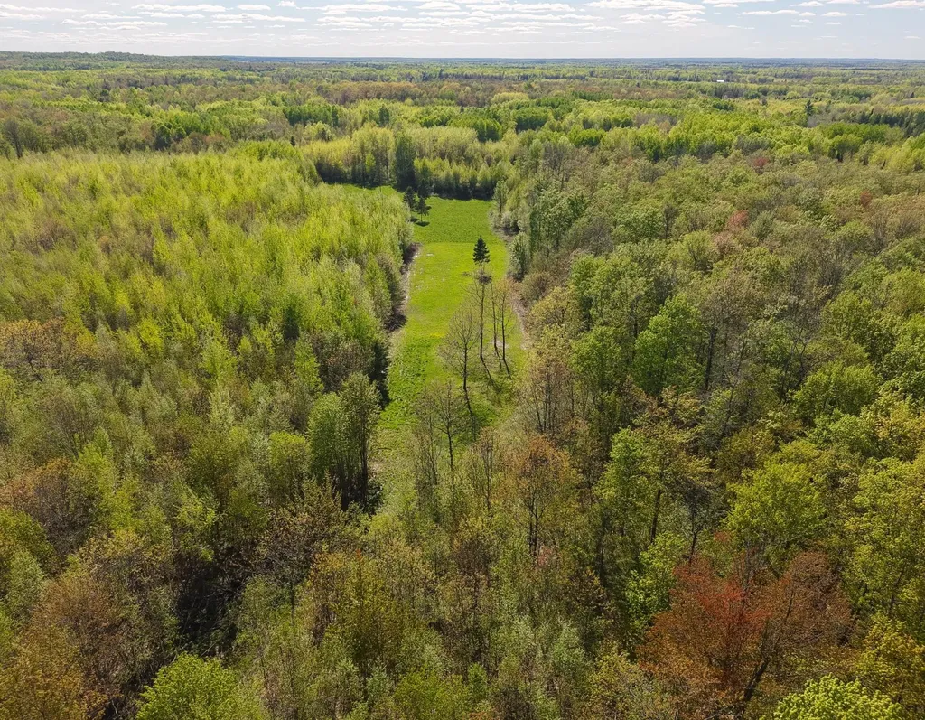 00 Spring Road Prentice WI 54556