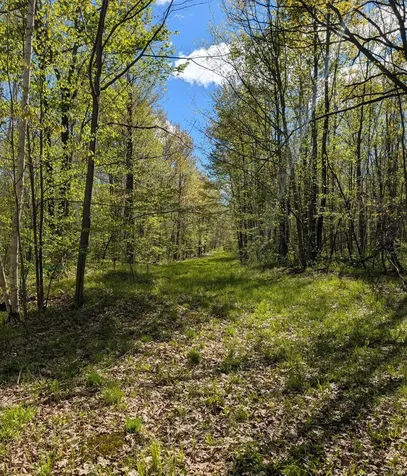 00 Spring Road Prentice WI 54556