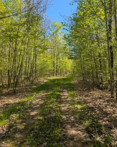 00 Spring Road Prentice WI 54556