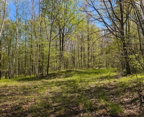 00 Spring Road Prentice WI 54556