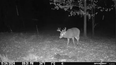 00 Spring Road Prentice WI 54556