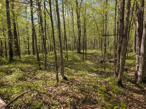 00 Spring Road Prentice WI 54556