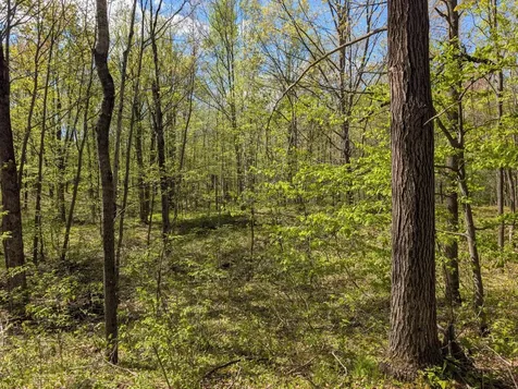 00 Spring Road Prentice WI 54556
