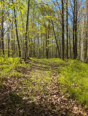 00 Spring Road Prentice WI 54556