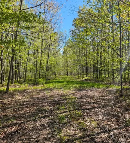 00 Spring Road Prentice WI 54556
