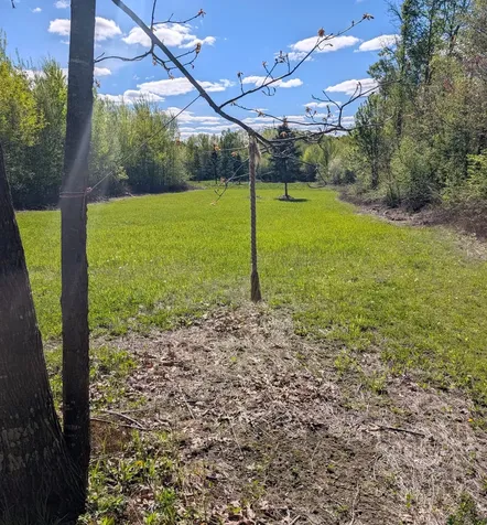 00 Spring Road Prentice WI 54556