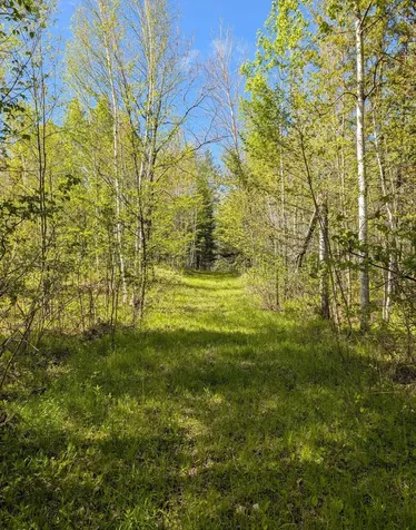 00 Spring Road Prentice WI 54556