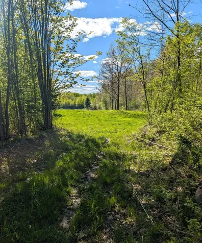 00 Spring Road Prentice WI 54556