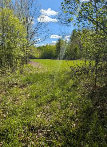 00 Spring Road Prentice WI 54556