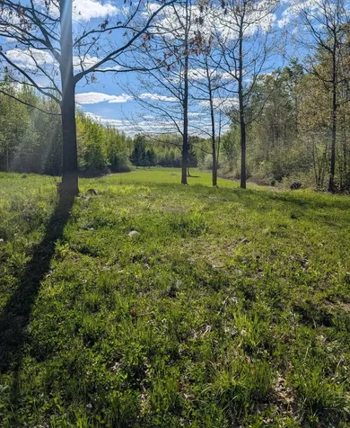 00 Spring Road Prentice WI 54556