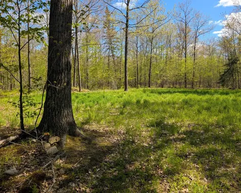 00 Spring Road Prentice WI 54556