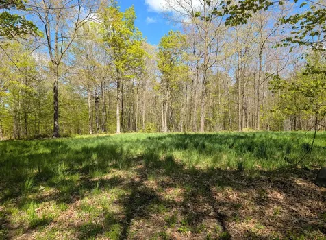 00 Spring Road Prentice WI 54556