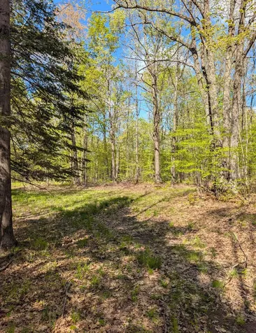 00 Spring Road Prentice WI 54556