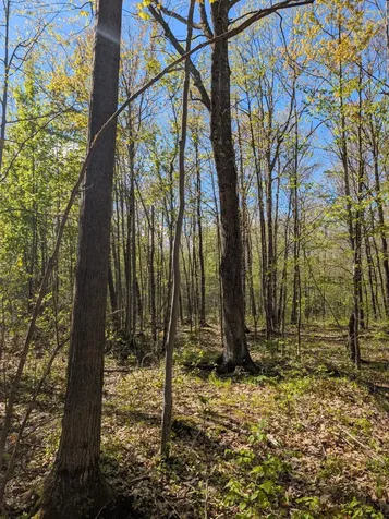 00 Spring Road Prentice WI 54556
