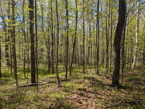 00 Spring Road Prentice WI 54556