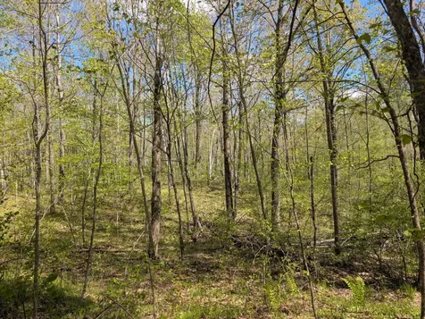 00 Spring Road Prentice WI 54556
