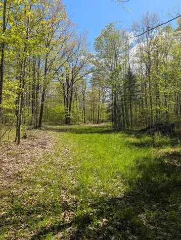 00 Spring Road Prentice WI 54556