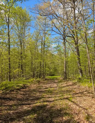 00 Spring Road Prentice WI 54556
