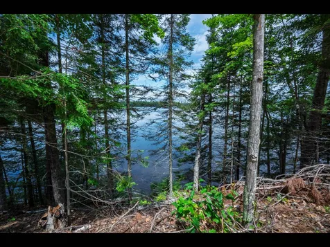 2482 Clearwater Lake Trail Eagle River WI 54521