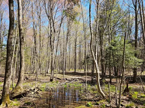 2122 Forest Drive W Ogema WI 54459