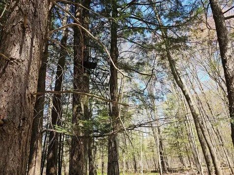 2122 Forest Drive W Ogema WI 54459