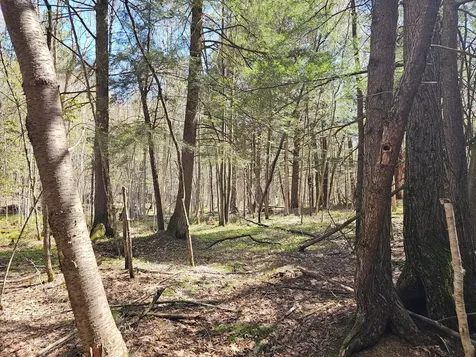 2122 Forest Drive W Ogema WI 54459