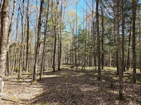 2122 Forest Drive W Ogema WI 54459