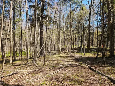 2122 Forest Drive W Ogema WI 54459