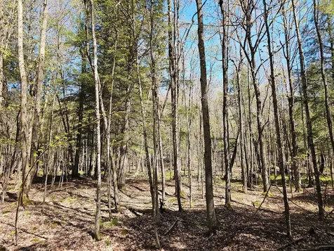 2122 Forest Drive W Ogema WI 54459