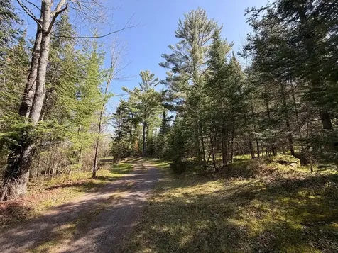 86441 Creamery Road Butternut WI 54514