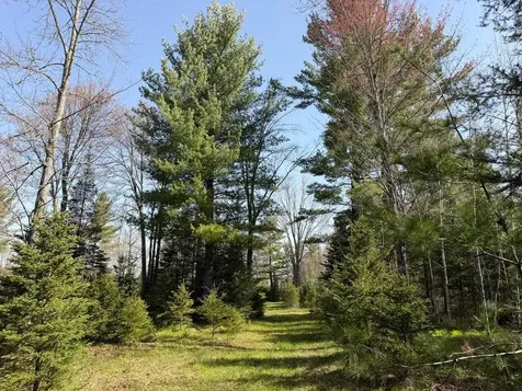 86441 Creamery Road Butternut WI 54514
