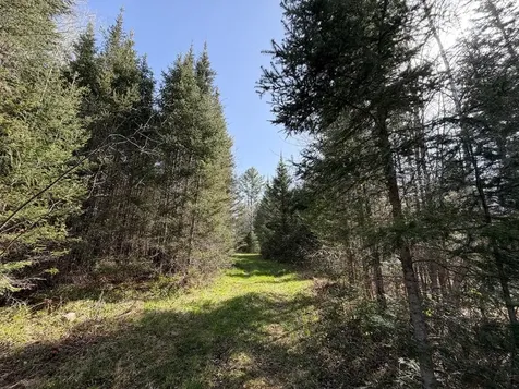 86441 Creamery Road Butternut WI 54514