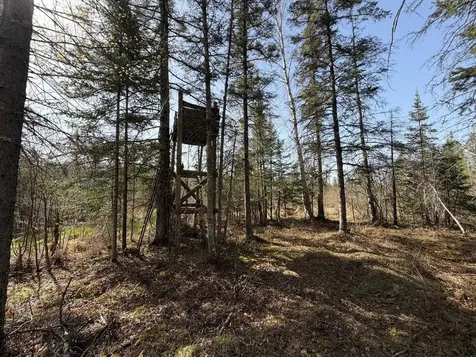 86441 Creamery Road Butternut WI 54514